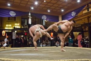 sumo restaurant