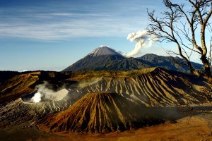 Ontdek Java per trein